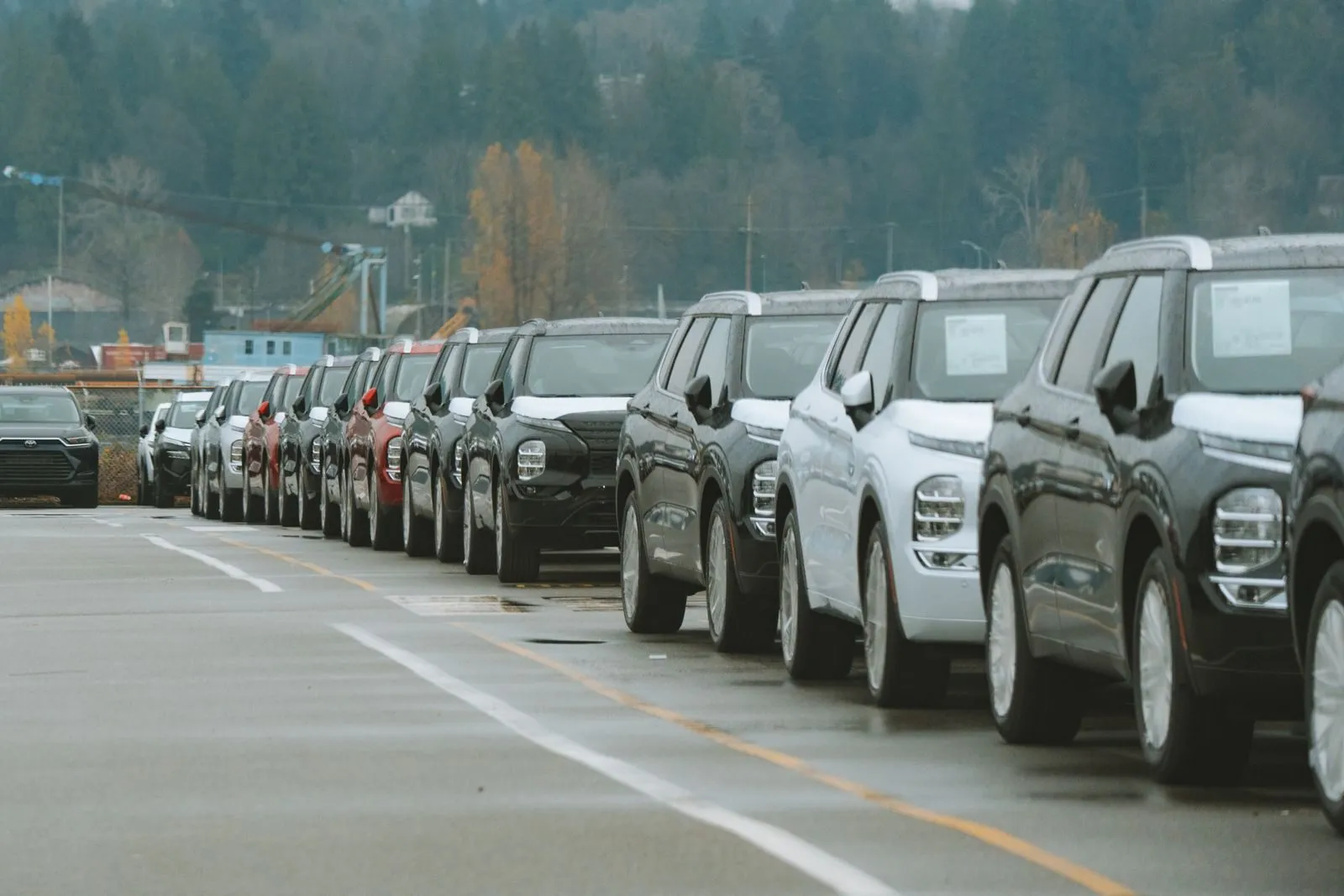 Row of new cars parked outside a dealership on a bright morning
