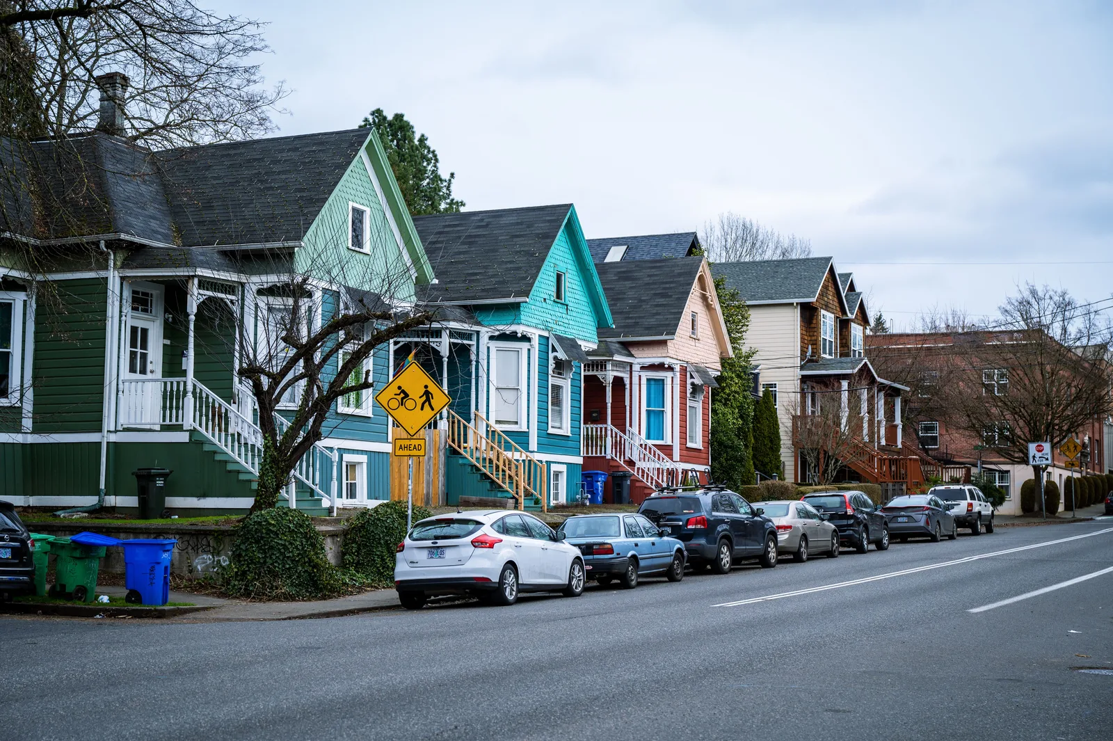 Row of suburban homes on a tree-lined street